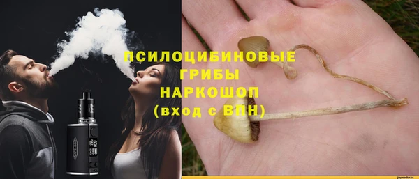 дмт Туринск