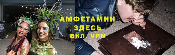 стафф Тобольск