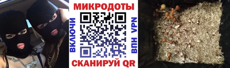 Псилоцибиновые грибы Psilocybine cubensis  дарнет шоп  Южа 